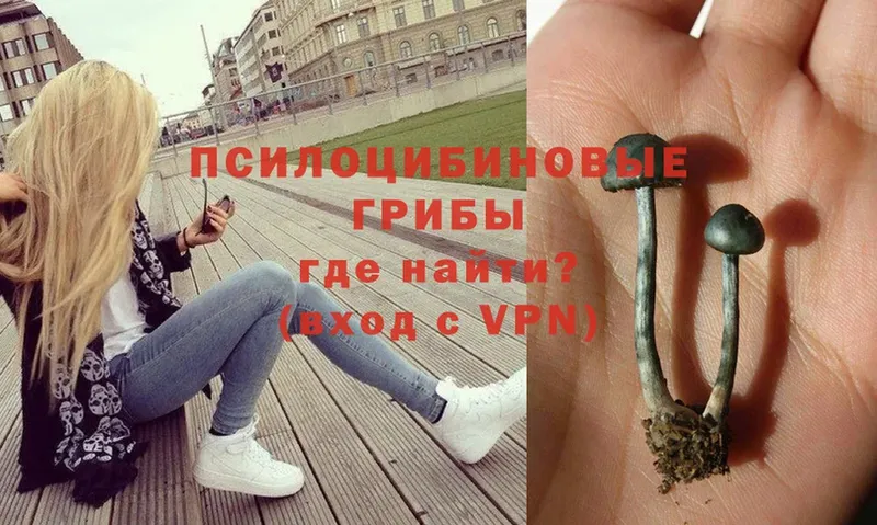 Псилоцибиновые грибы ЛСД  где купить наркоту  Лобня 